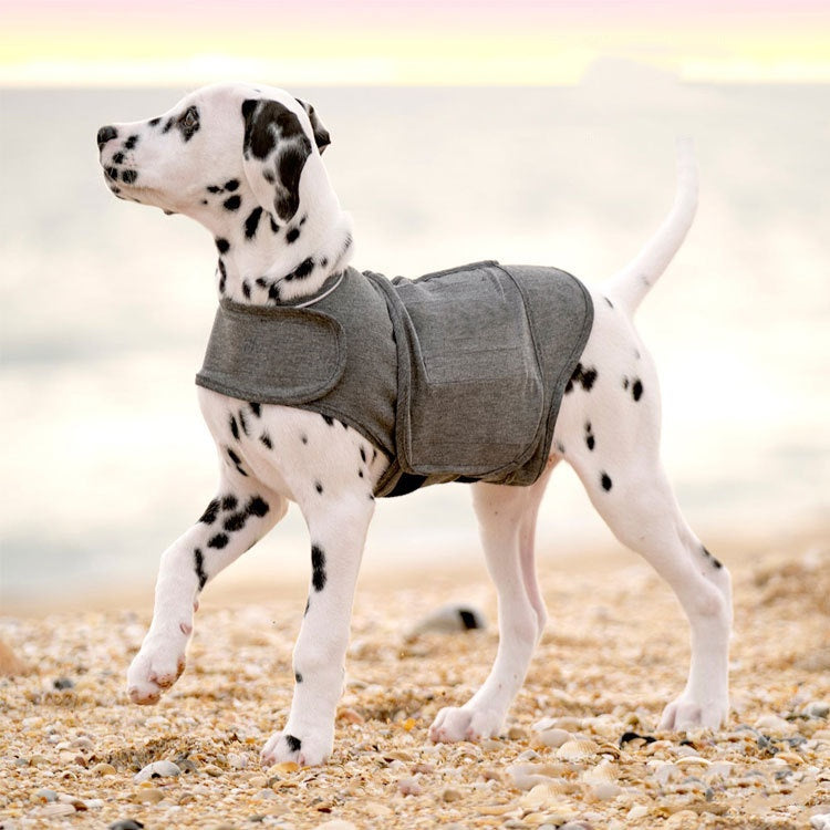 Pet Apparel - GoSavvyNow