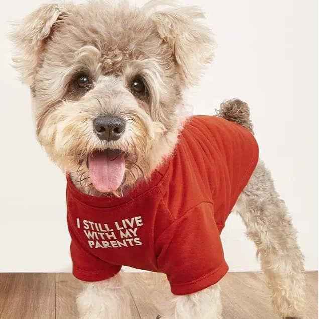 Round Neck T-Shirt – Dog & Cat