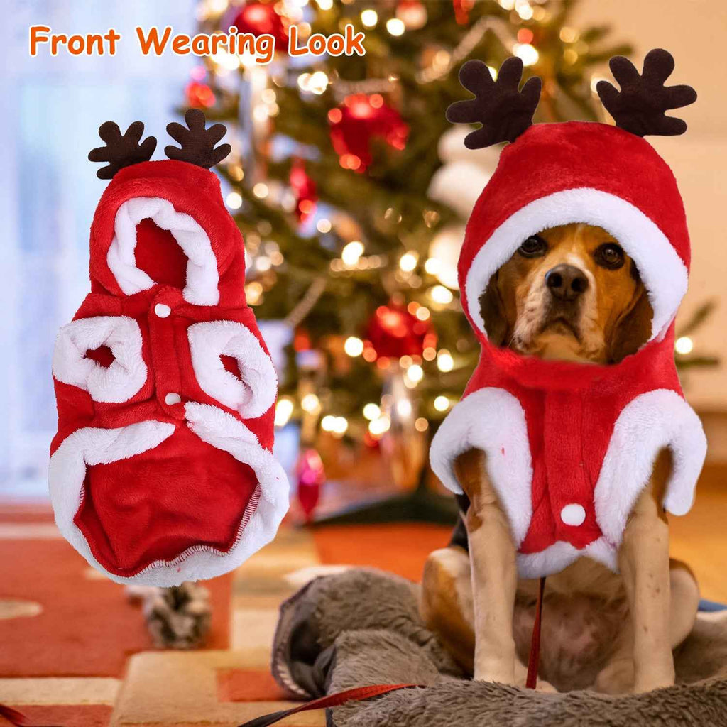 Pet Santa Reindeer Costume with Antlers – Dogs & Cats