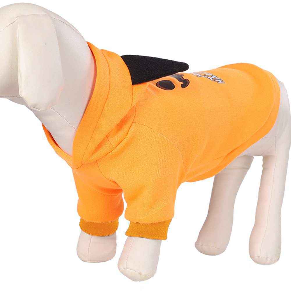 Adorable Pet Pumpkin Costume for Fall Festivities
