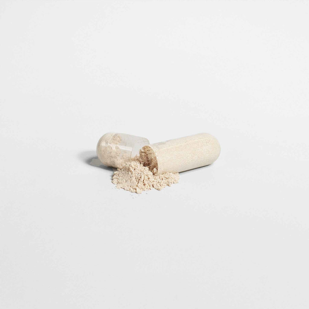 Nootropic Brain & Focus Formula - GoSavvyNow