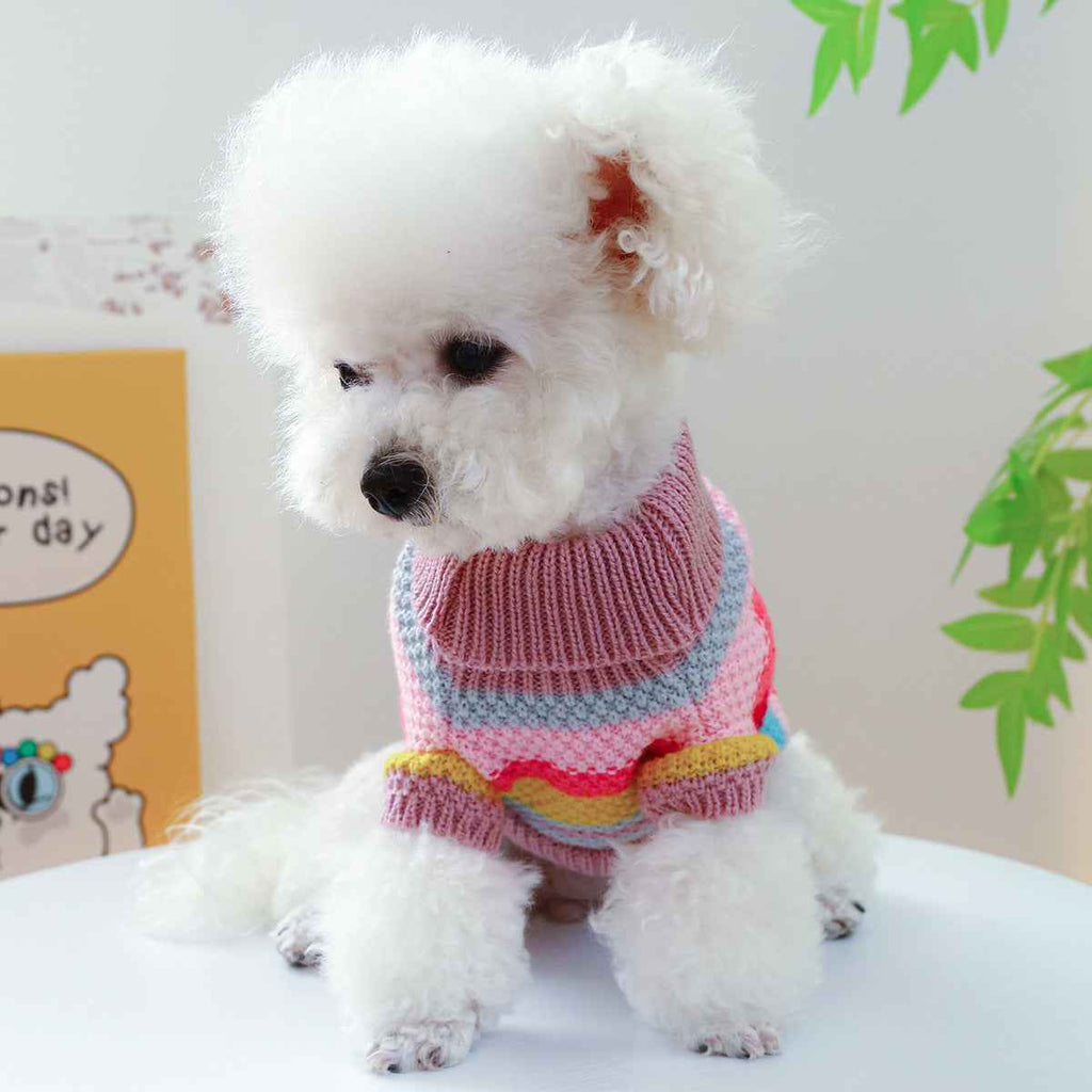 Colorful Striped Sweater – Cozy Pet Wear
