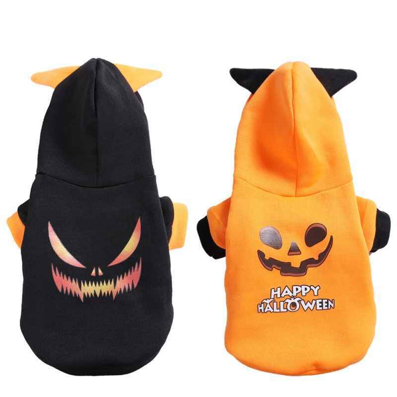 Adorable Pet Pumpkin Costume for Fall Festivities