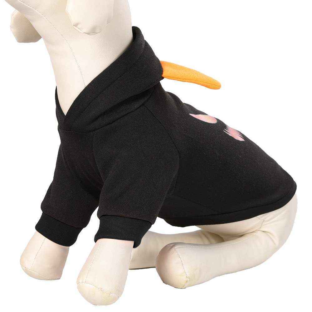 Adorable Pet Pumpkin Costume for Fall Festivities