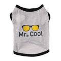 Cozy Vest for Dogs & Cats