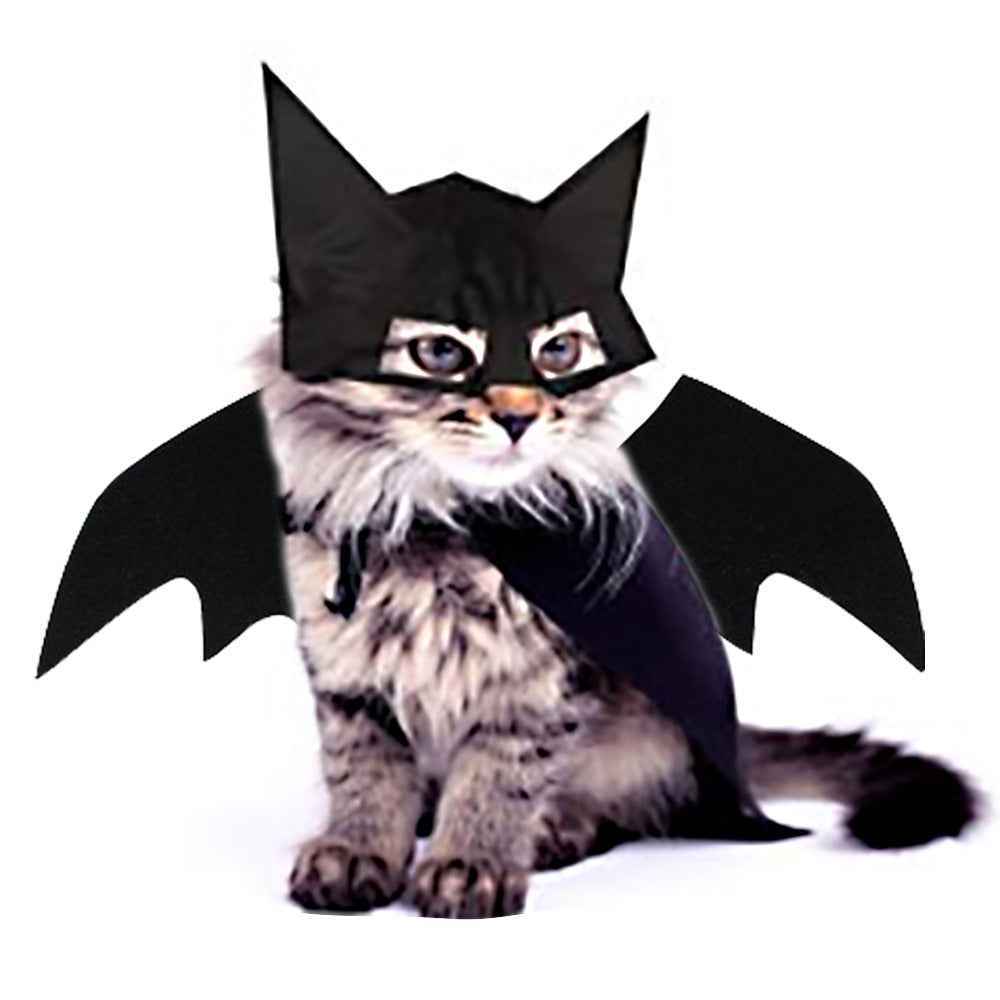 Batcat Costume