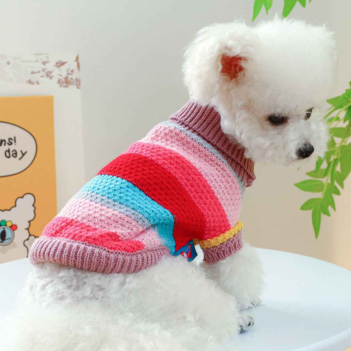 Colorful Striped Sweater – Cozy Pet Wear