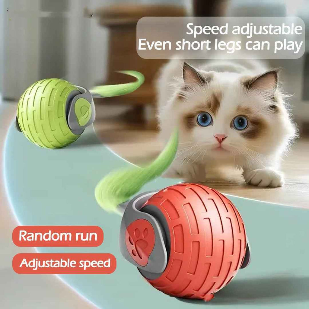 Interactive Electric Rolling Ball Cat Toy