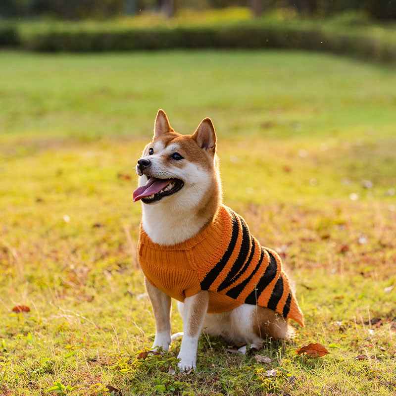 Halloween Dog Sweater – Warm Cosplay Costume