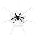 Giant 49" Halloween Spider with 126" Stretch Web
