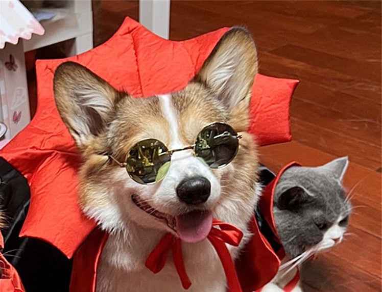 Vampire King Cape – Halloween Pet Costume