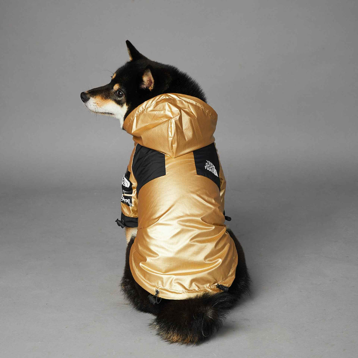 Large Dog Raincoat – Waterproof Pet Jacket