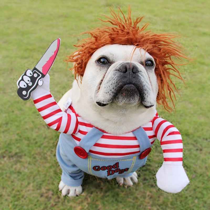 Halloween Dog Costume – Adjustable Scary Pet Outfit