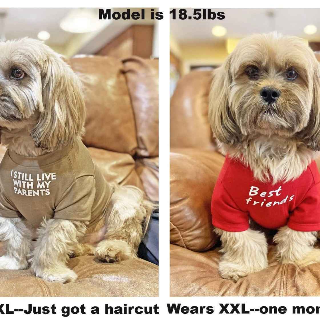 Round Neck T-Shirt – Dog & Cat