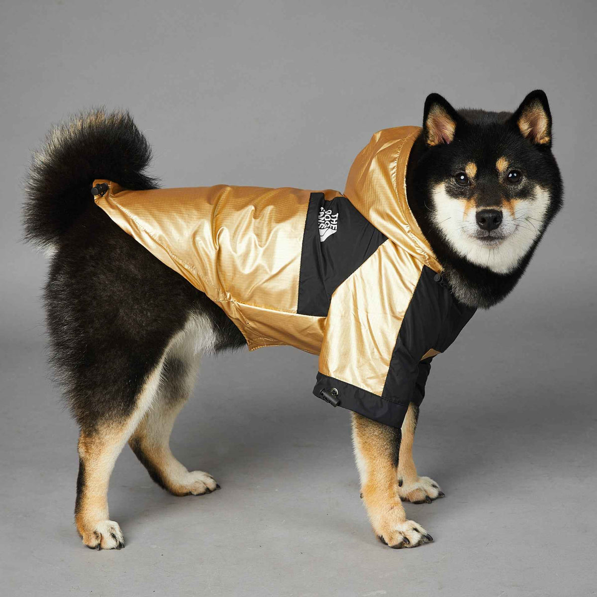 Large Dog Raincoat – Waterproof Pet Jacket