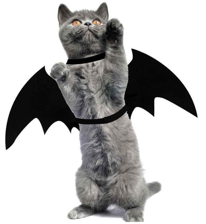 Bat Wings for Cats - Adorable Halloween Costume for Your Furry Friend