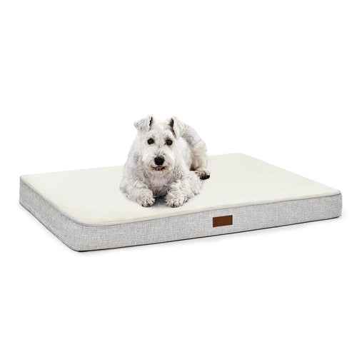 Orthopedic Dog Bed with Washable Cover, Non-Slip - 36"Lx27"Wx3"Th / White - GoSavvyNow