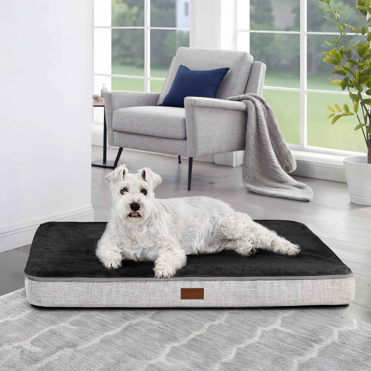 Orthopedic Dog Bed with Washable Cover, Non-Slip - GoSavvyNow