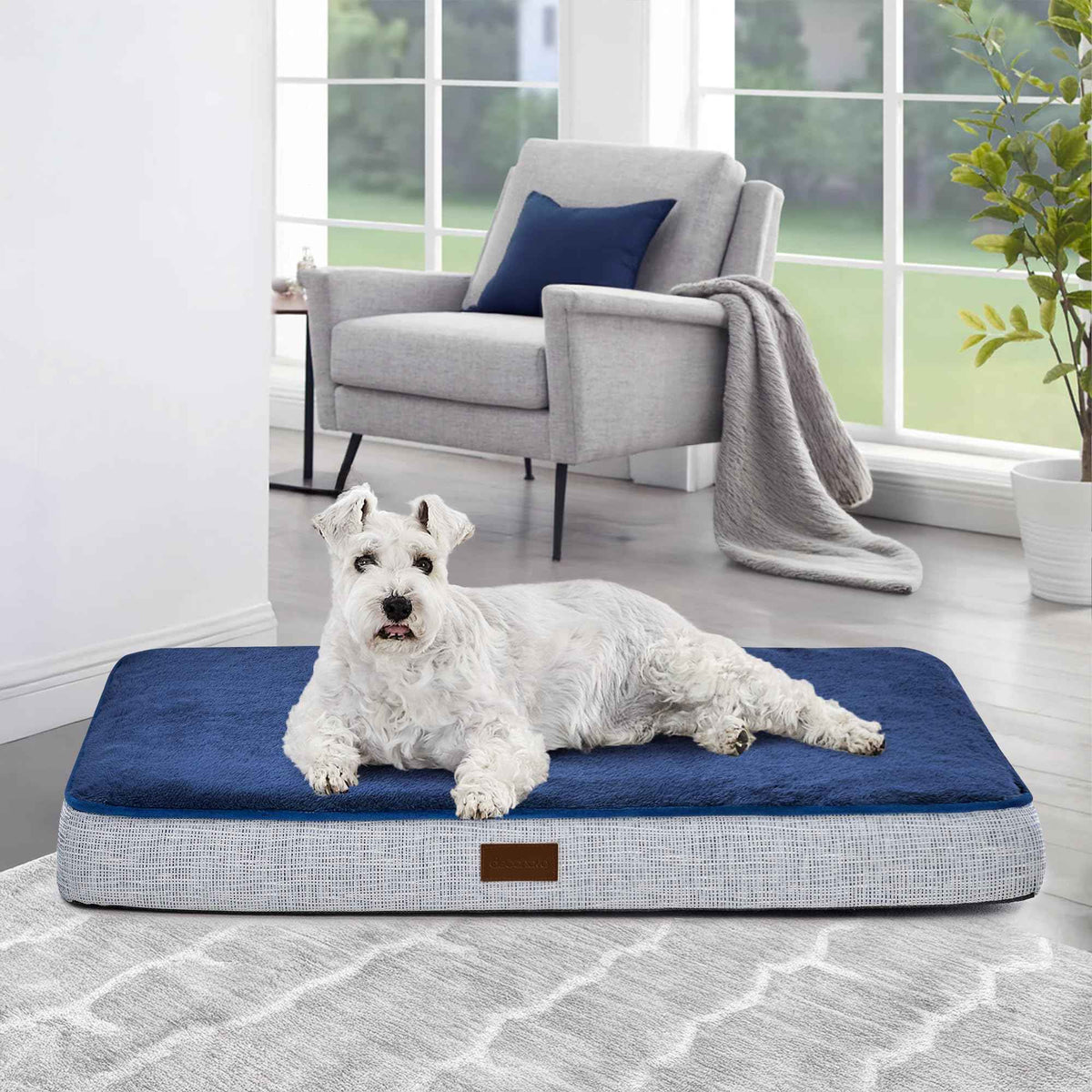 Orthopedic Dog Bed with Washable Cover, Non-Slip - GoSavvyNow