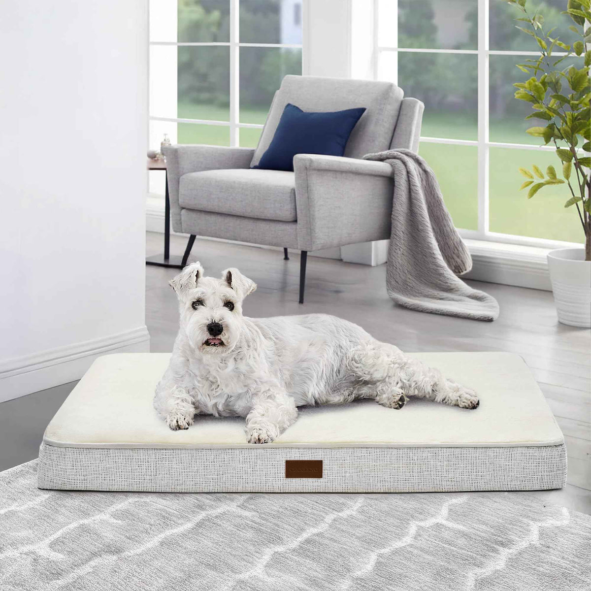 Orthopedic Dog Bed with Washable Cover, Non-Slip - GoSavvyNow