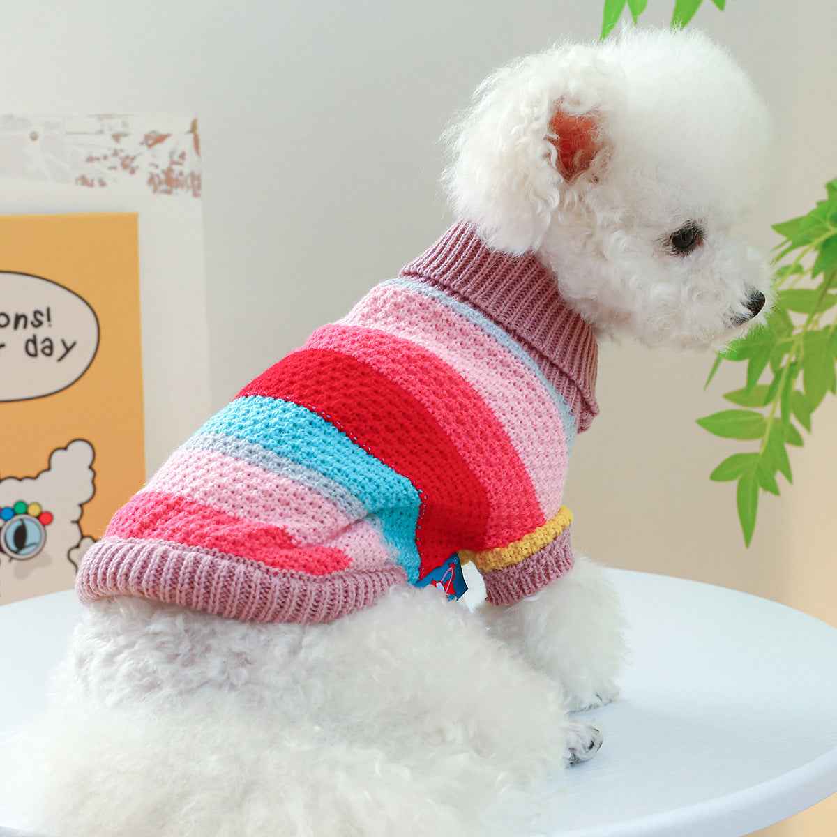 Colorful Striped Sweater – Cozy Pet Wear