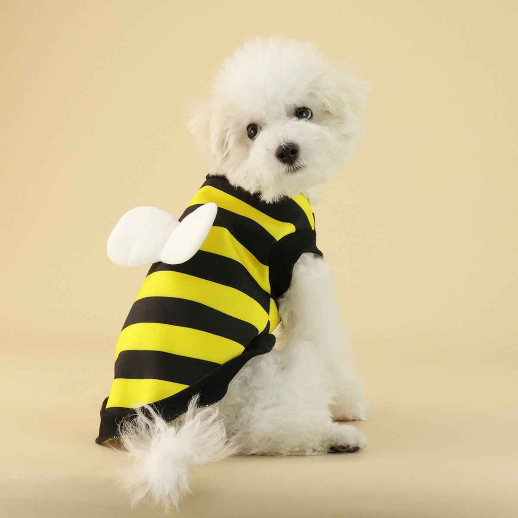 Frog & Bee Print Sweater – Small/Medium Dogs