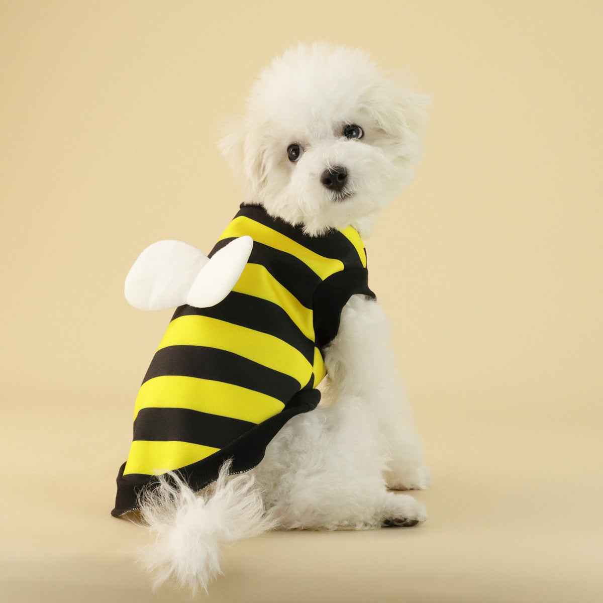 Frog & Bee Print Sweater – Small/Medium Dogs