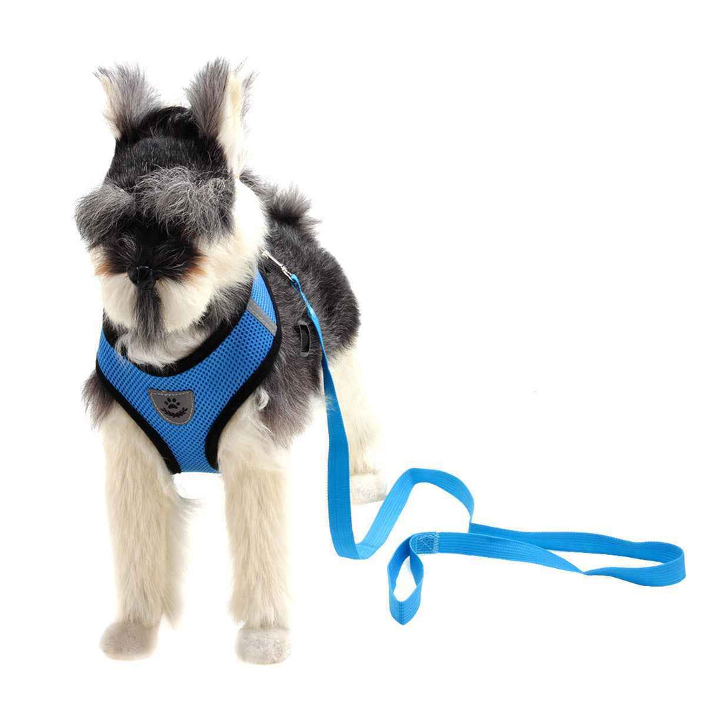 Dog Harness and Leash Combo - Breathable and Comfortable!