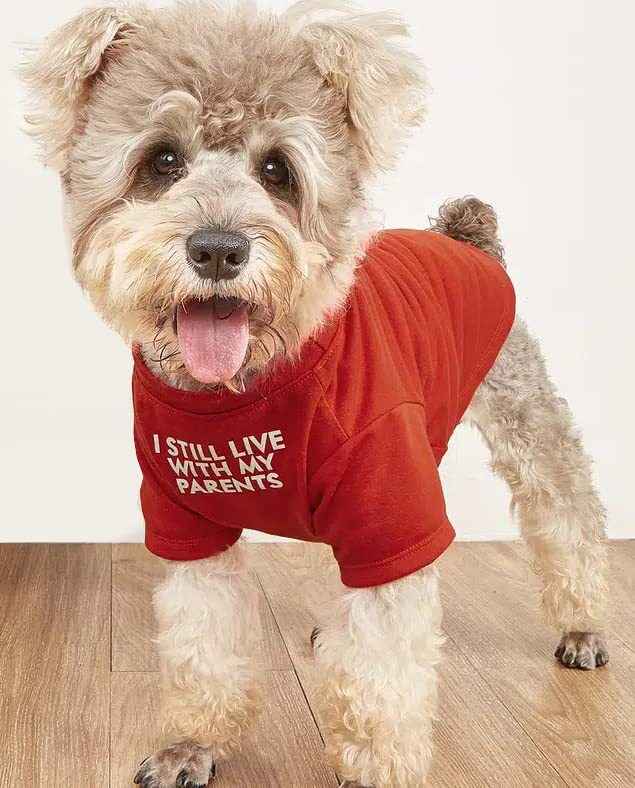 Round Neck T-Shirt – Dog & Cat