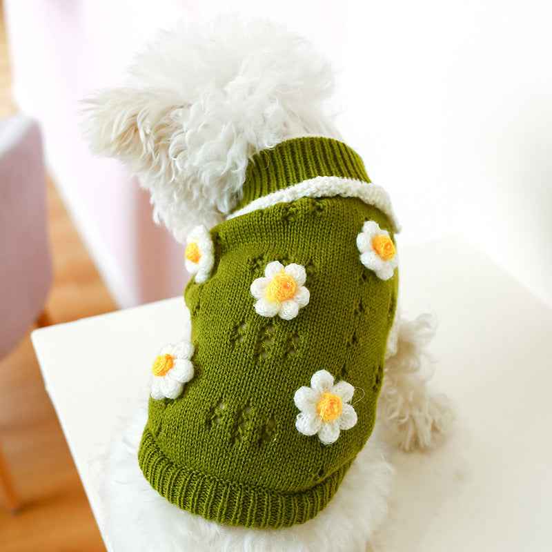 Floral Jacquard Sweater – Cats & Dogs