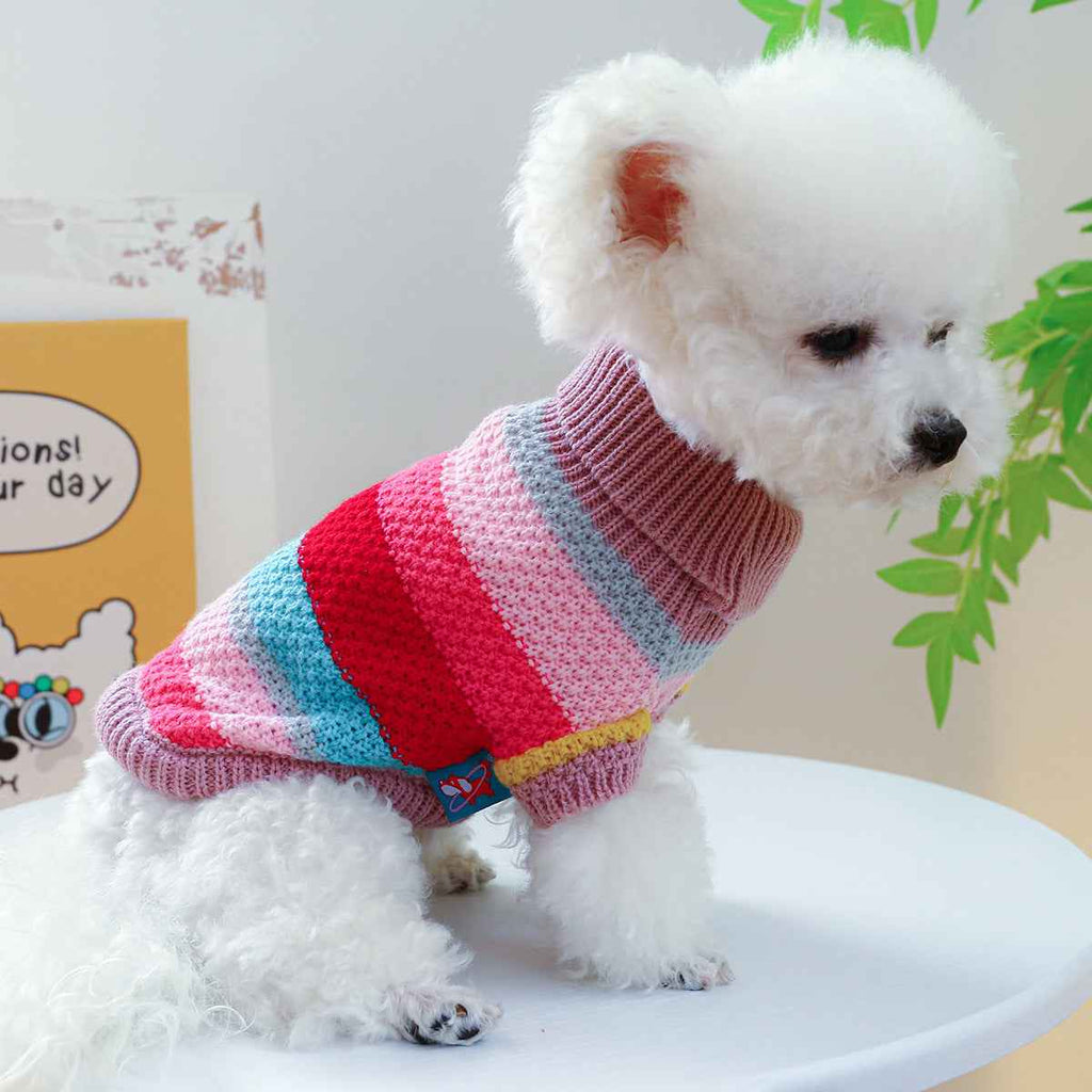 Colorful Striped Sweater – Cozy Pet Wear
