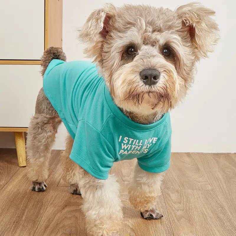 Round Neck T-Shirt – Dog & Cat