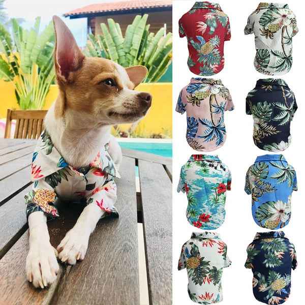 Hawaiian Chiffon Shirt – Dog & Cat Summer Clothes