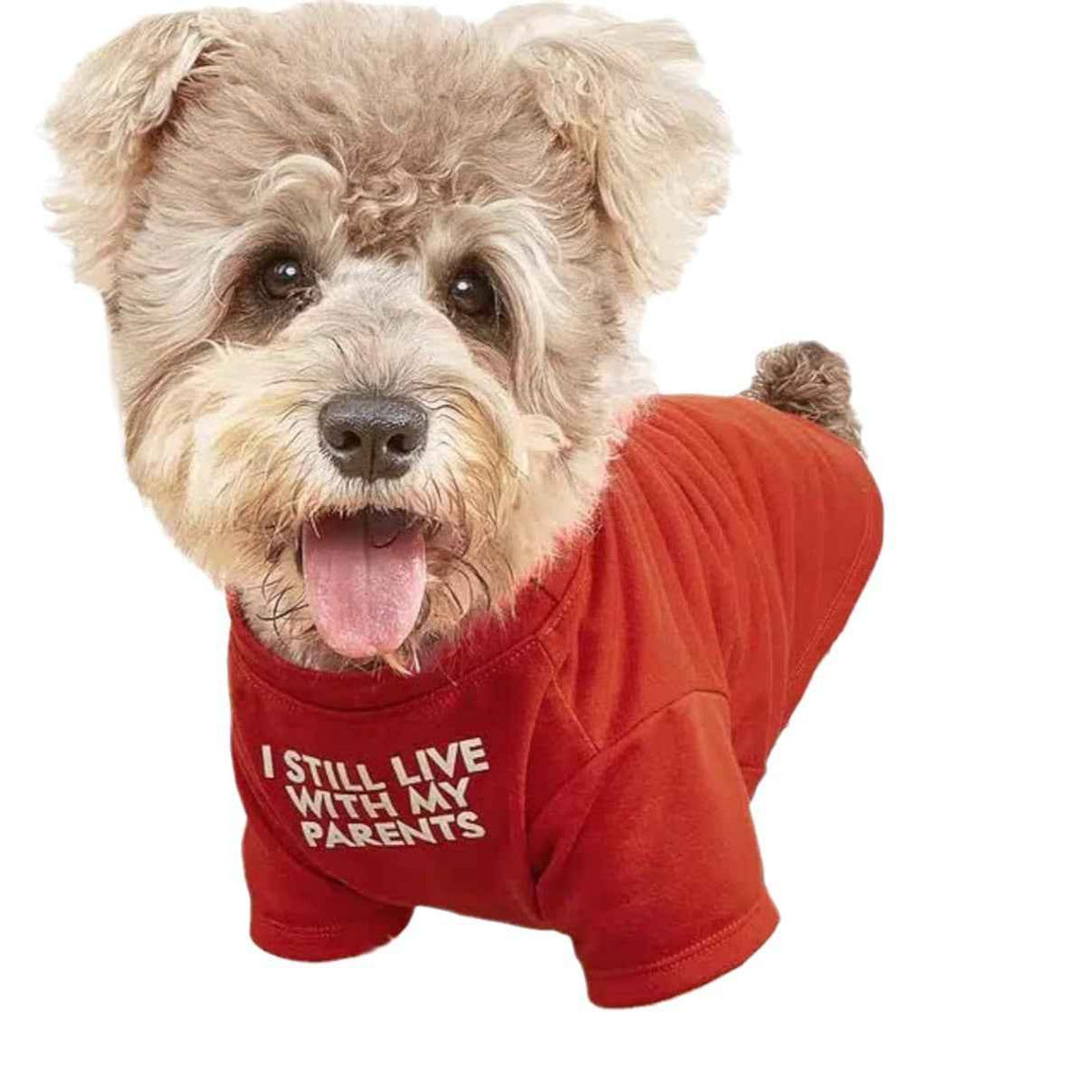 Round Neck T-Shirt – Dog & Cat