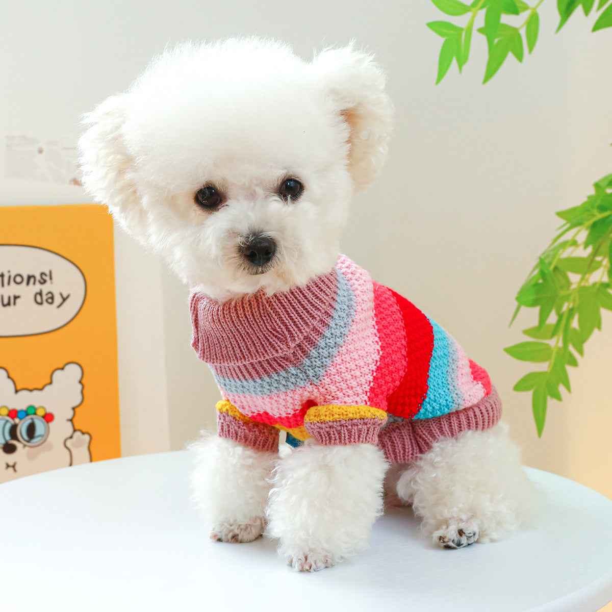 Colorful Striped Sweater – Cozy Pet Wear