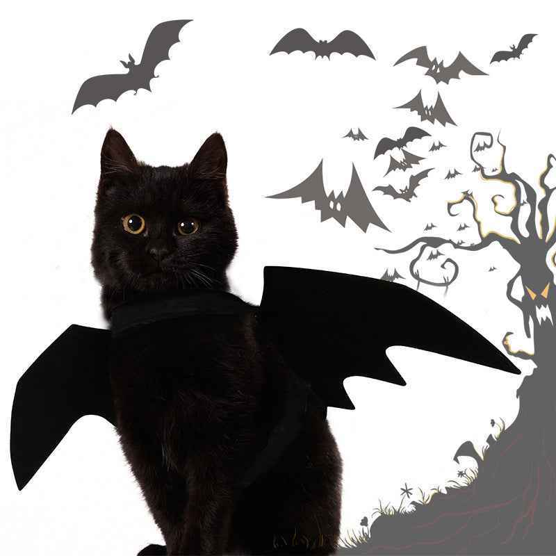 Bat Wings for Cats - Adorable Halloween Costume for Your Furry Friend