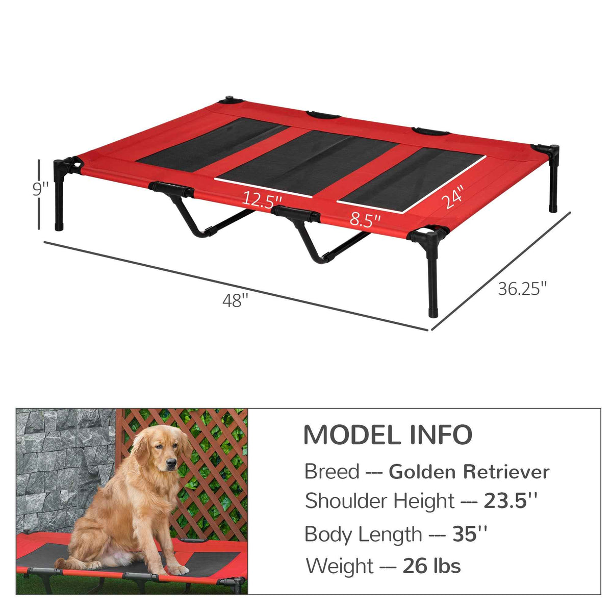 XL Elevated Dog Cot – Metal Frame, Breathable Mesh, Carry Bag - GoSavvyNow