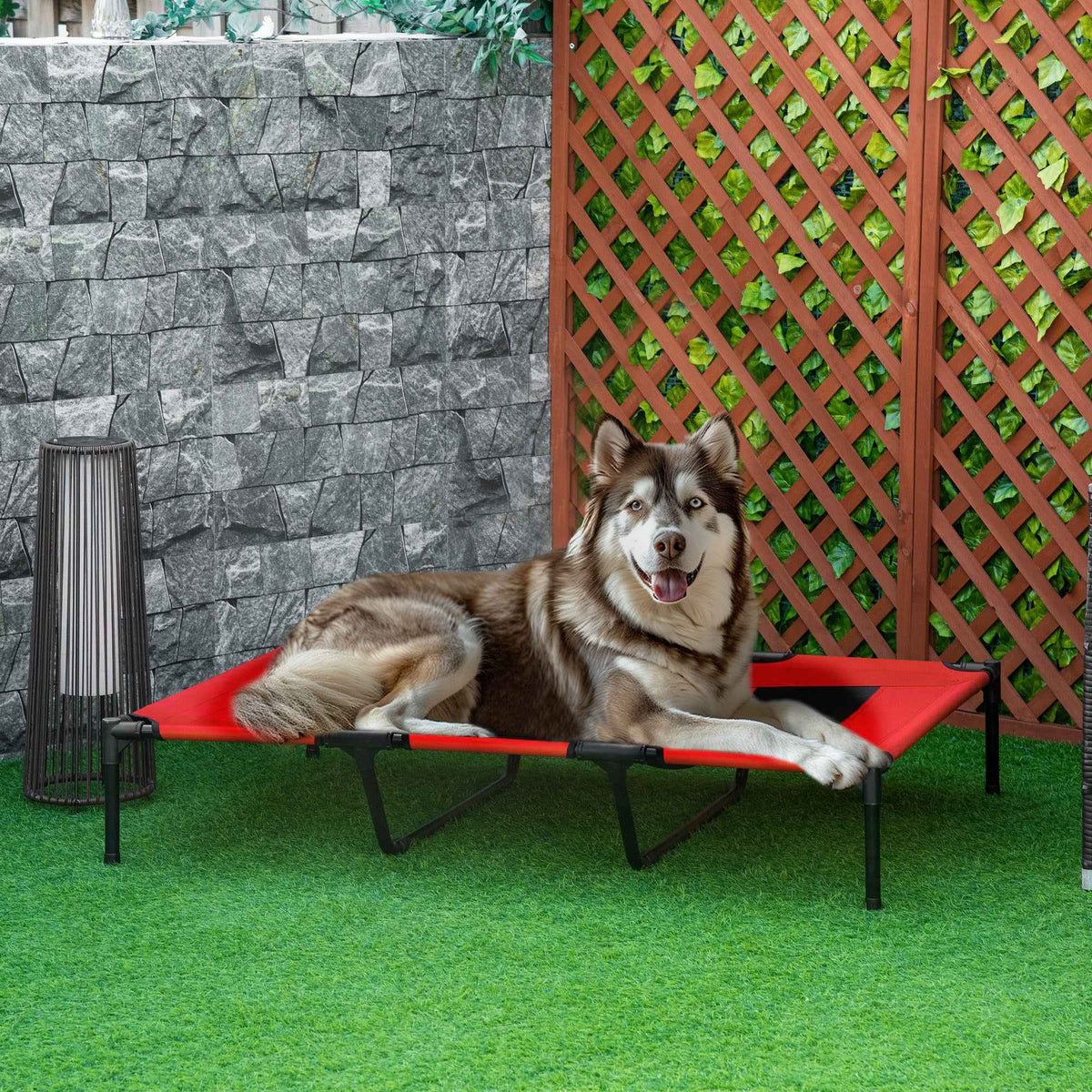 XL Elevated Dog Cot – Metal Frame, Breathable Mesh, Carry Bag - GoSavvyNow