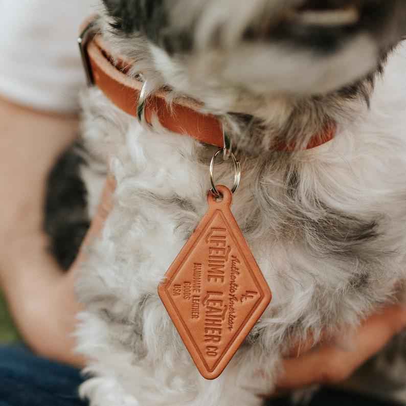 Classic Leather Dog Collars - GoSavvyNow