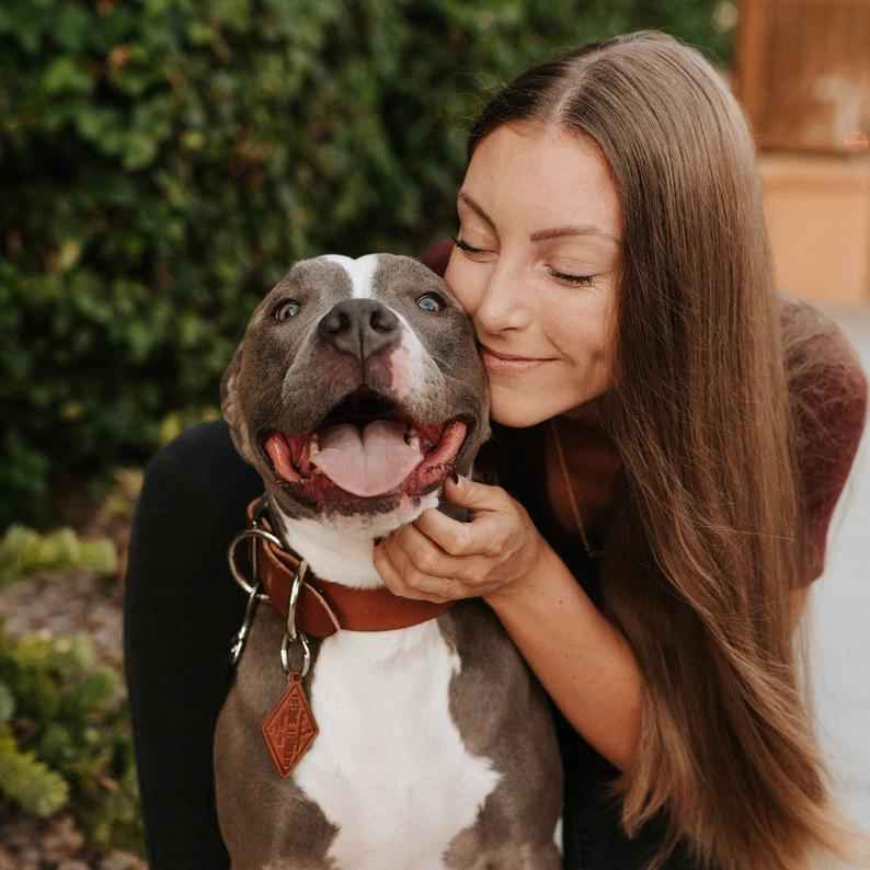 Classic Leather Dog Collars - GoSavvyNow