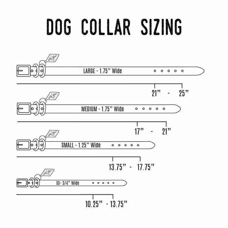 Classic Leather Dog Collars - GoSavvyNow